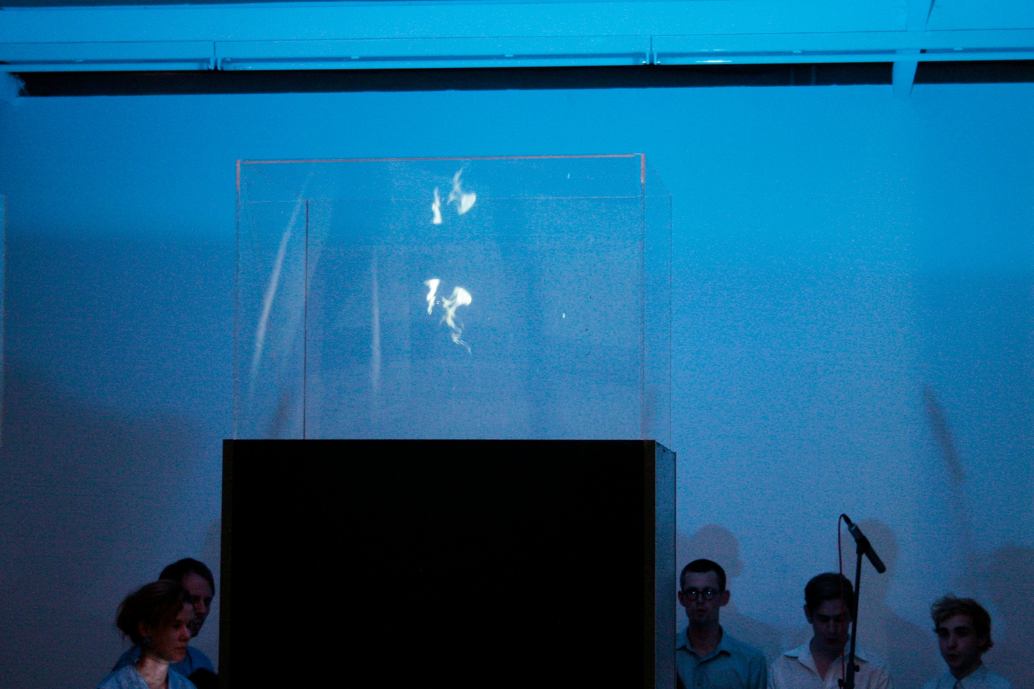 European Images performance documentation, 2011